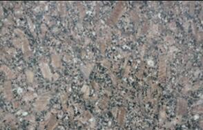 皇(huang)室啡玫瓌長蘤