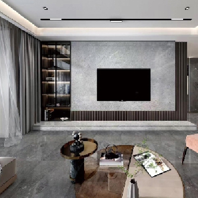 鮑裏斯灰案例(li)